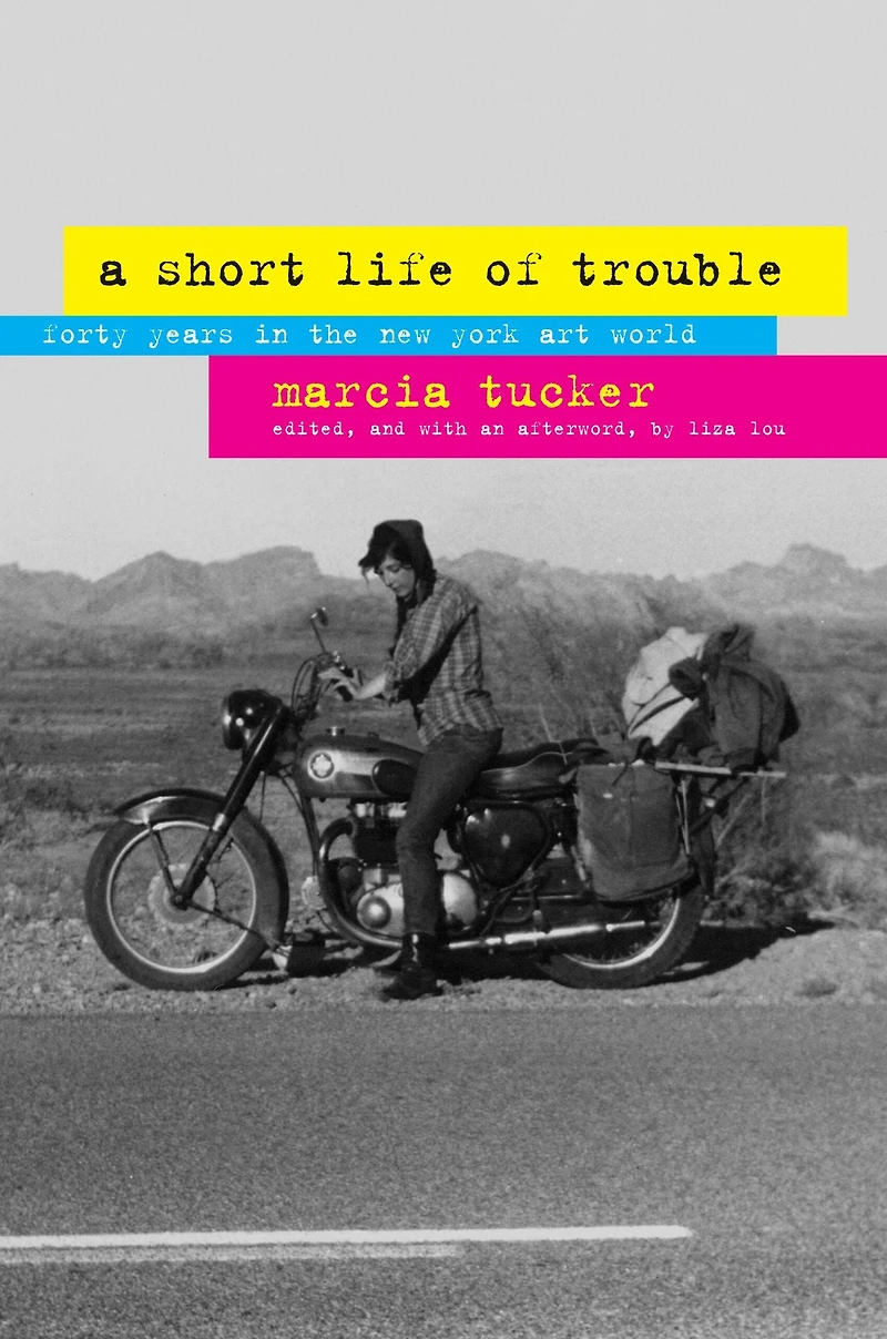 A Short Life of Trouble: Forty Years the New York Art World