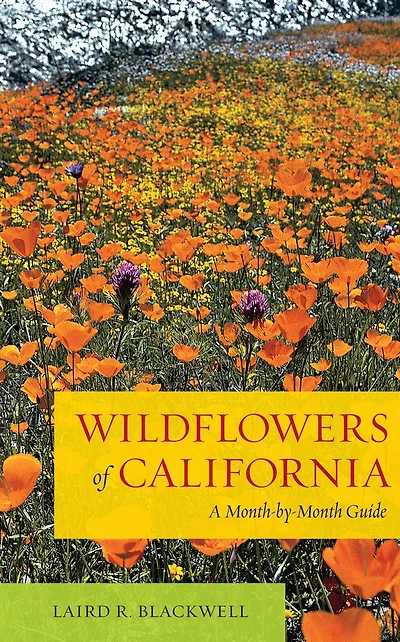 Wildflowers of California: A Month-by-Month Guide