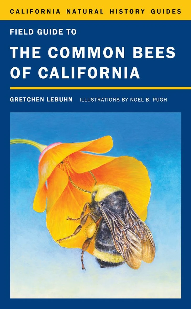 Field Guide to the Common Bees of California: Including Western United States