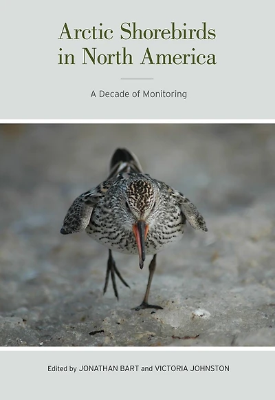 Arctic Shorebirds in North America: A Decade of Monitoring