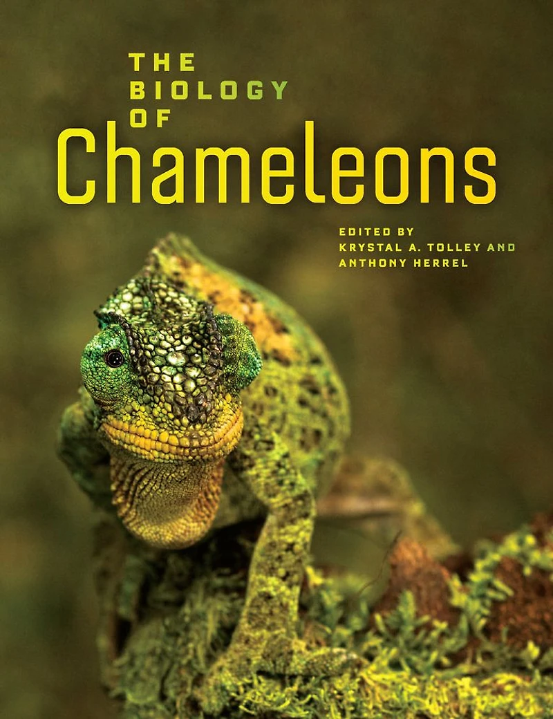 The Biology of Chameleons
