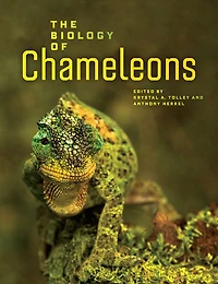 The Biology of Chameleons