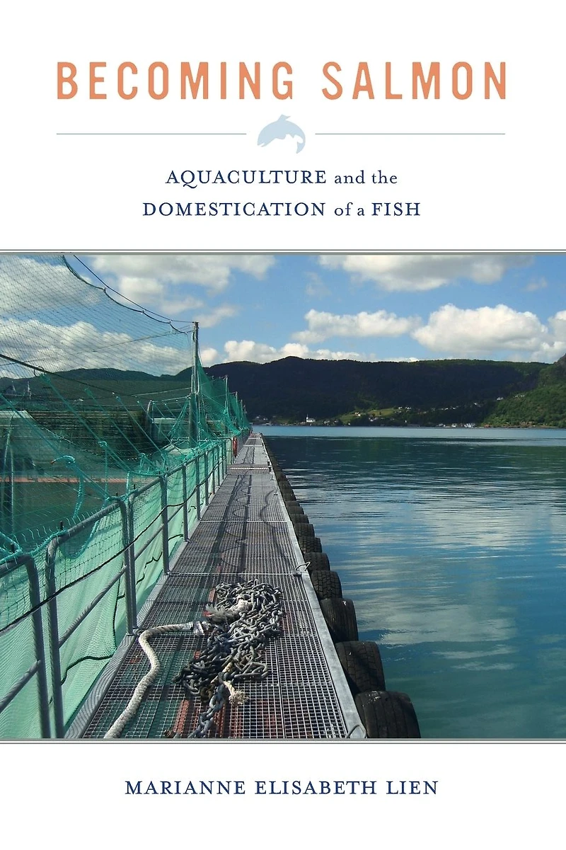 Becoming Salmon: Aquaculture and the Domestication of a Fish