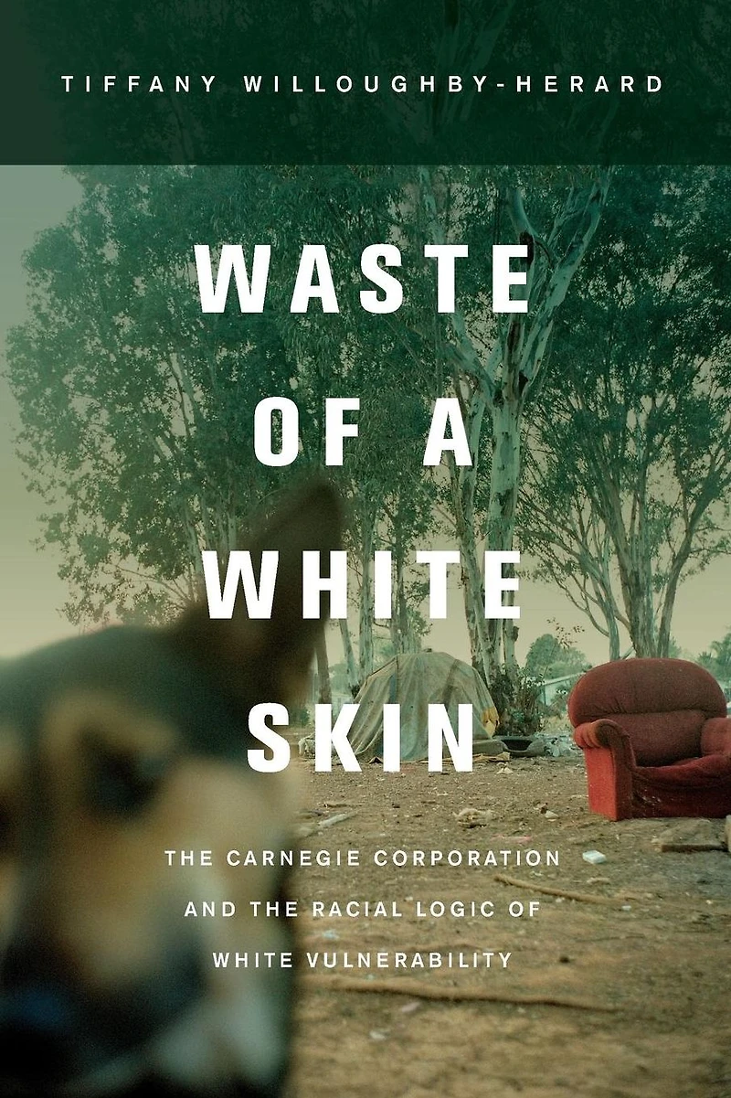 Waste of a White Skin: the Carnegie Corporation and Racial Logic Vulnerability