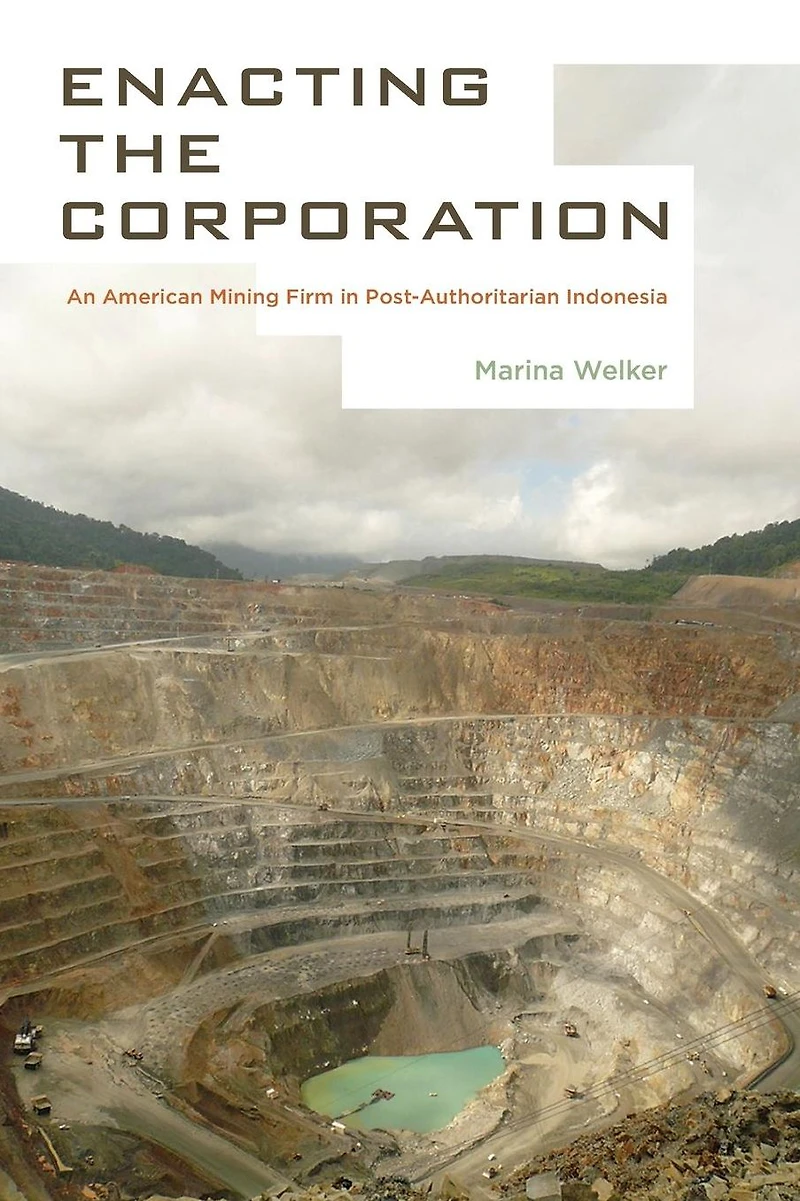 Enacting the Corporation: An American Mining Firm Post-Authoritarian Indonesia