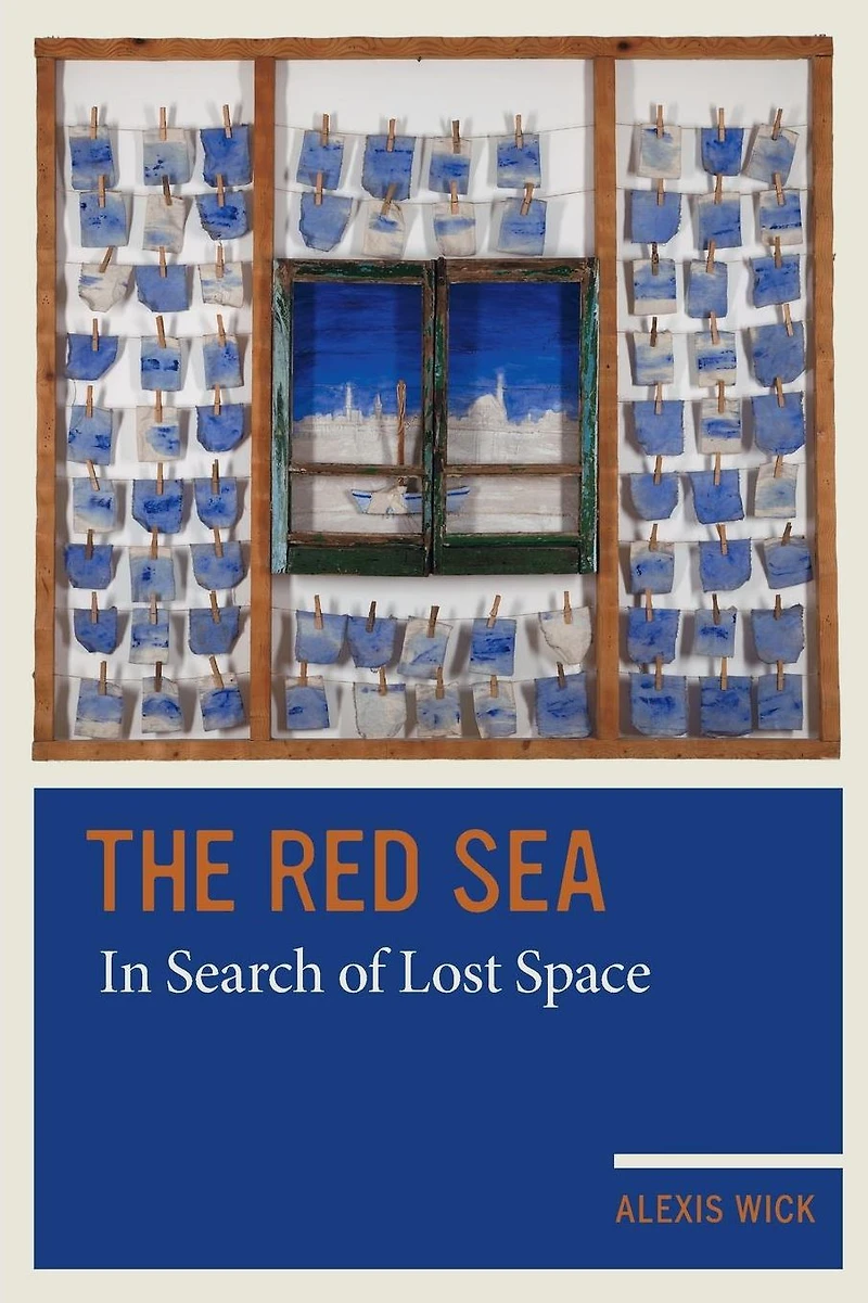 The Red Sea: Search of Lost Space