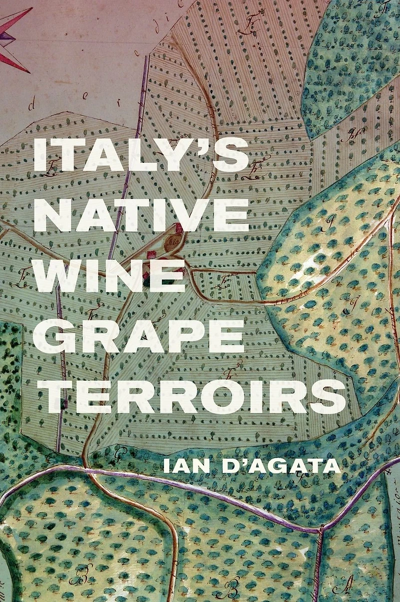 Italy's Native Wine Grape Terroirs