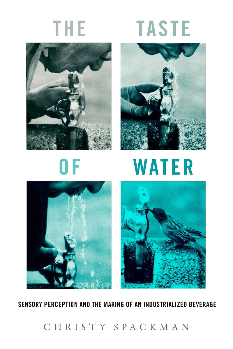 the Taste of Water: Sensory Perception and Making an Industrialized Beverage