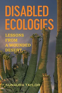 Disabled Ecologies: Lessons from a Wounded Desert