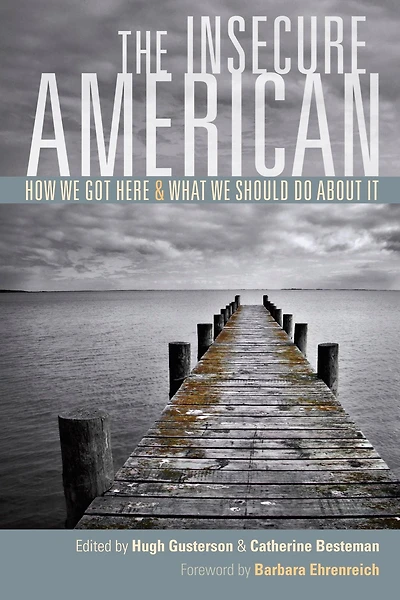 The Insecure American: How We Got Here and What Should Do About It