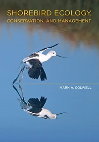 Shorebird Ecology, Conservation, and Management