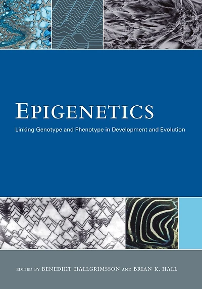 Epigenetics: Linking Genotype and Phenotype Development Evolution