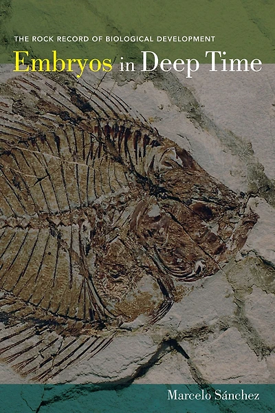 Embryos Deep Time: The Rock Record of Biological Development