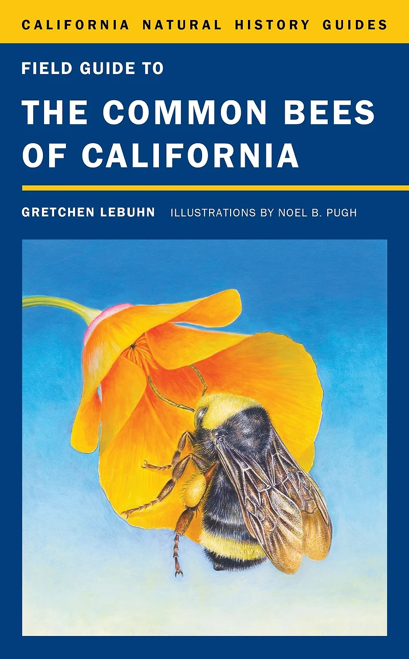 Field Guide to the Common Bees of California: Including Western United States