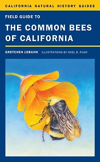 Field Guide to the Common Bees of California: Including Western United States