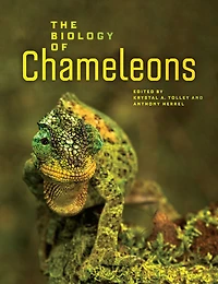 The Biology of Chameleons