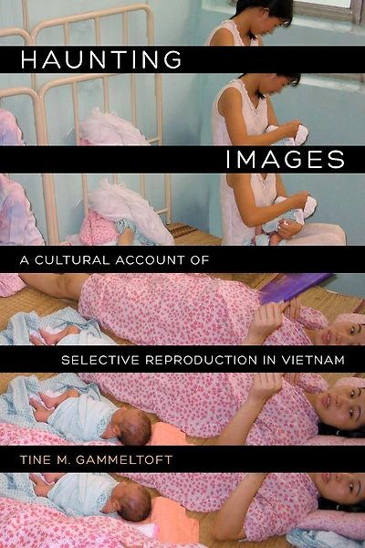 Haunting Images: A Cultural Account of Selective Reproduction Vietnam