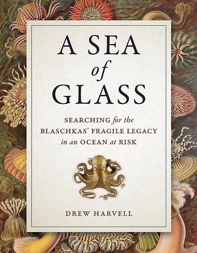 A Sea of Glass: Searching for the Blaschkas' Fragile Legacy an Ocean at Risk