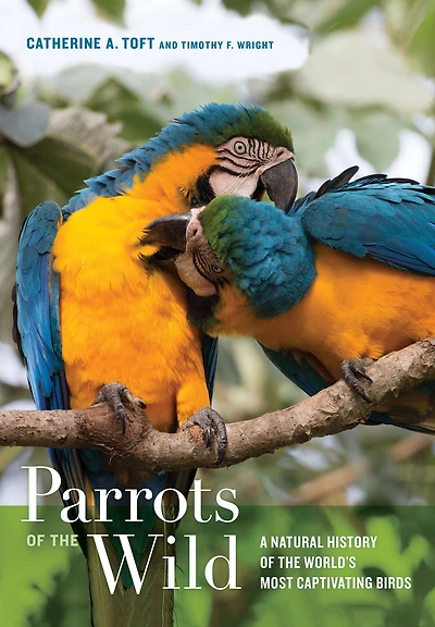 Parrots of the Wild: A Natural History World's Most Captivating Birds