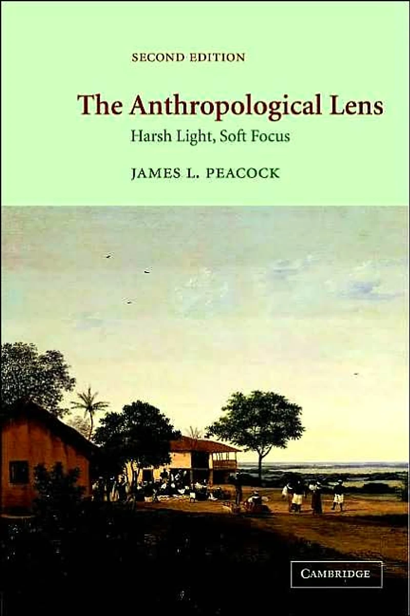 The Anthropological Lens: Harsh Light, Soft Focus