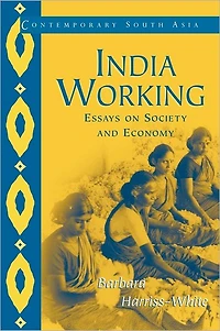 India Working: Essays on Society and Economy