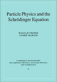 Particle Physics and the Schrödinger Equation