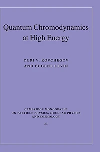Quantum Chromodynamics at High Energy