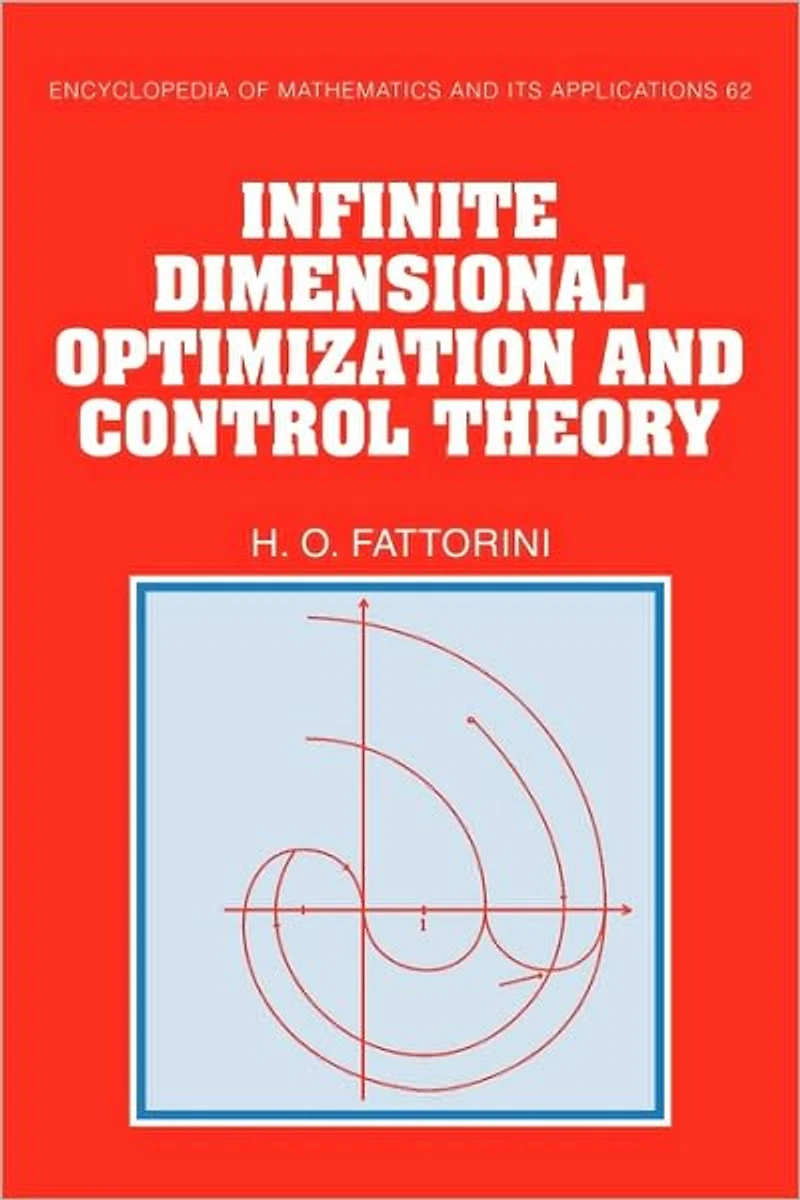 Infinite Dimensional Optimization and Control Theory