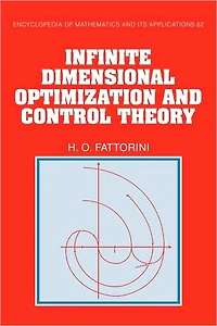 Infinite Dimensional Optimization and Control Theory