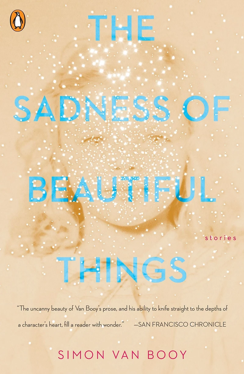 The Sadness of Beautiful Things