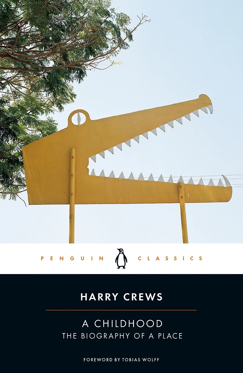 a Childhood: The Biography of Place