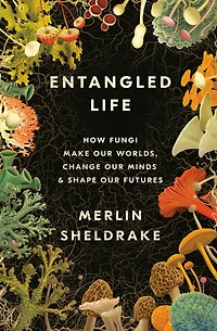 Entangled Life: How Fungi Make Our Worlds, Change Minds & Shape Futures