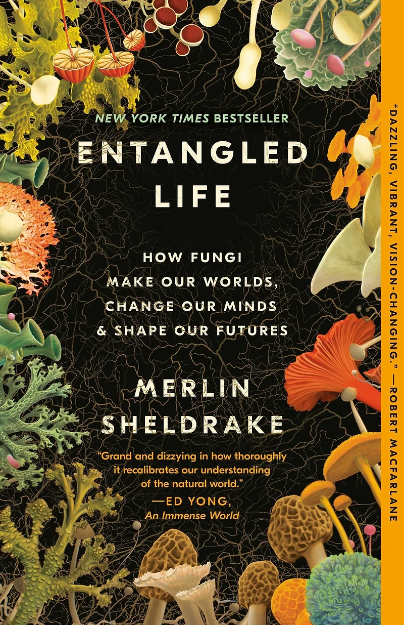 Entangled Life: How Fungi Make Our Worlds, Change Minds & Shape Futures