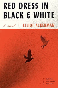 Red Dress Black and White: A novel