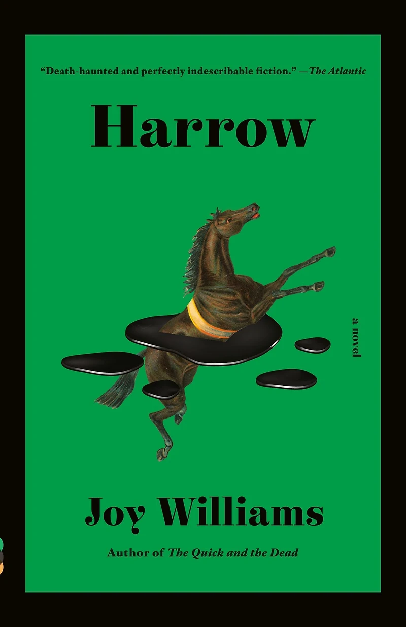 Harrow: A Novel