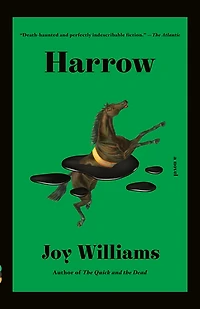 Harrow: A Novel