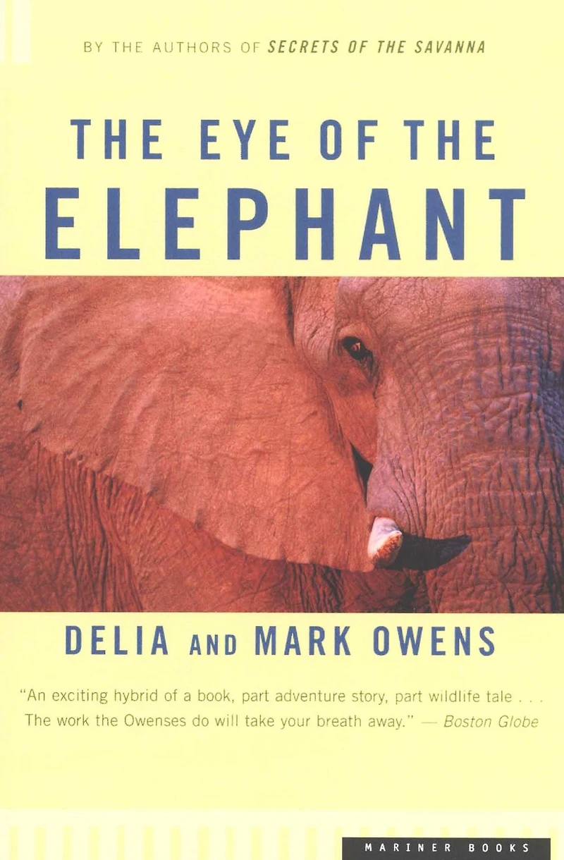 the Eye of Elephant: An Epic Adventure African Wilderness