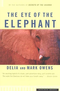 the Eye of Elephant: An Epic Adventure African Wilderness