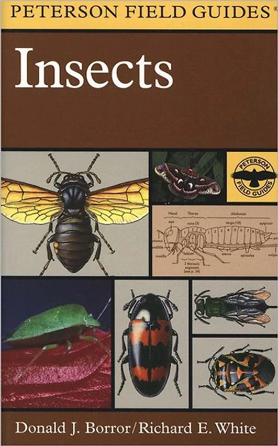A Peterson Field Guide To Insects: America North of Mexico