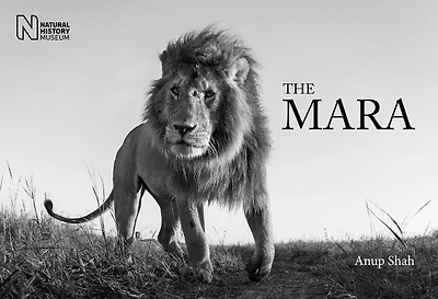 The Mara