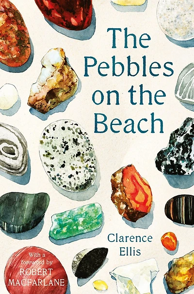the Pebbles on Beach