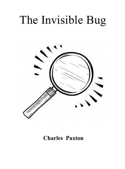 The Invisible Bug