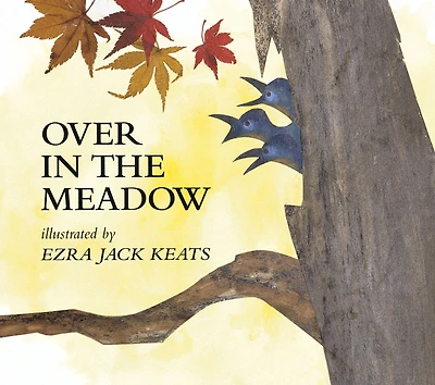 Over the Meadow
