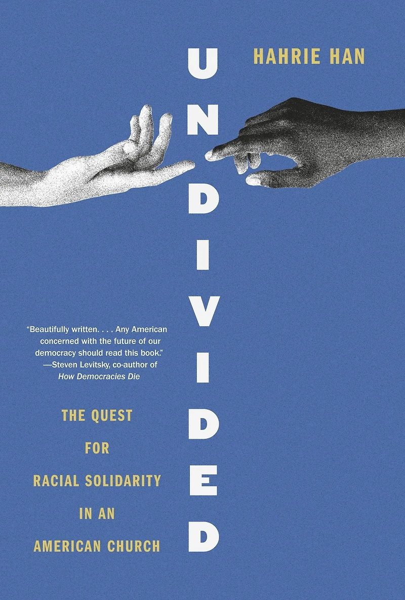 Undivided: The Quest for Racial Solidarity an American Church