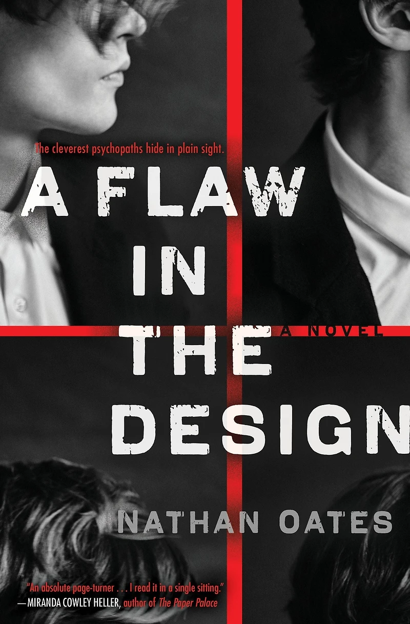 A Flaw the Design: Novel