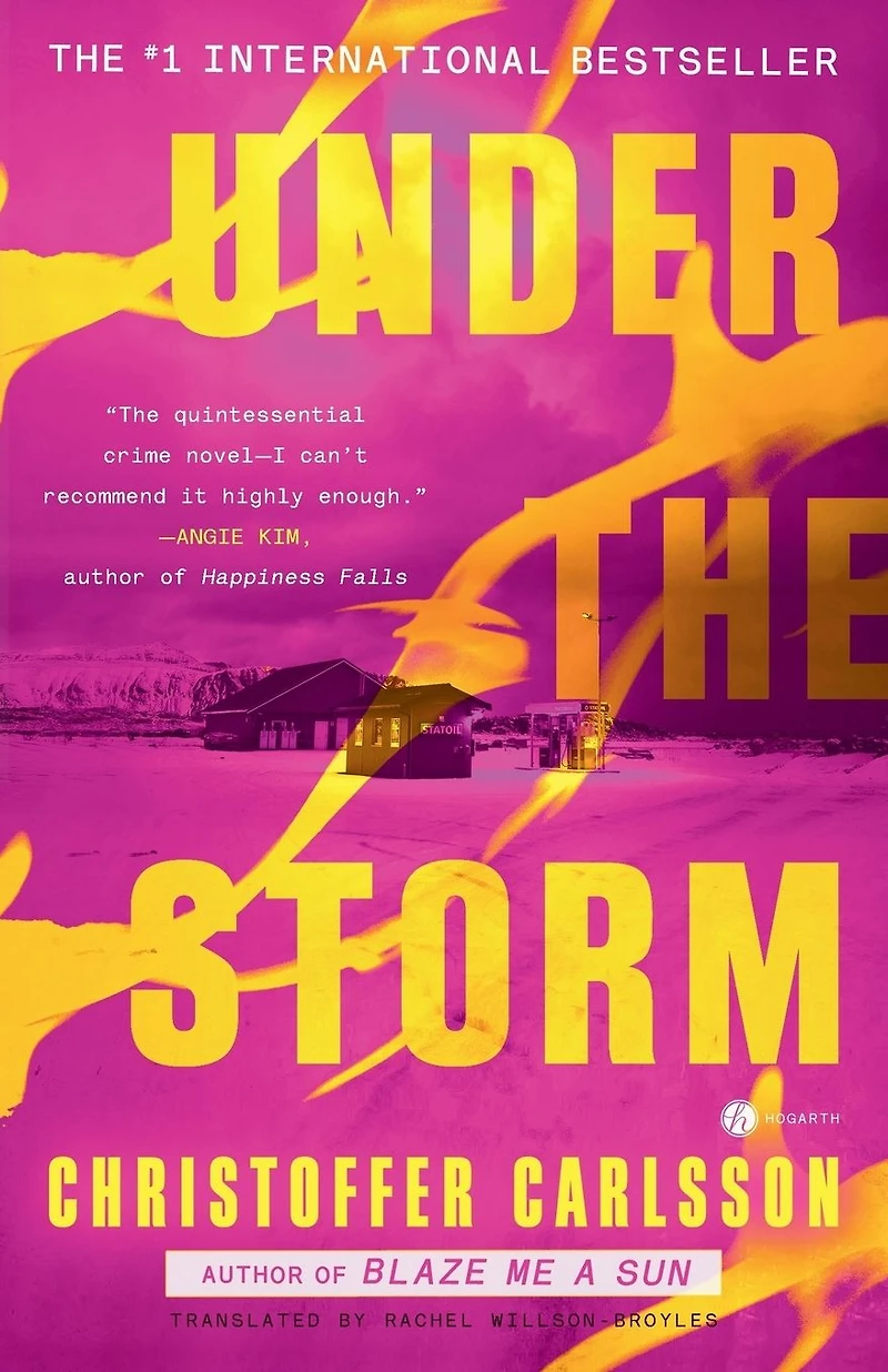 Under the Storm: A Novel