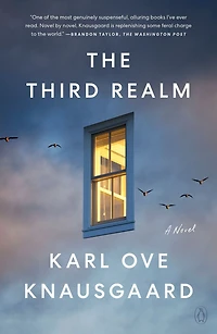 The Third Realm: A Novel