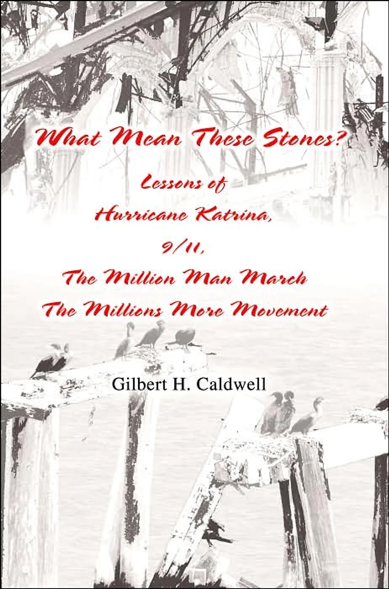 What Mean These Stones?: Lessons of Hurricane Katrina, 9/11, The Million Man March The Millions More Movement