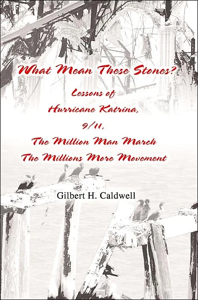 What Mean These Stones?: Lessons of Hurricane Katrina, 9/11, The Million Man March The Millions More Movement