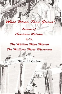 What Mean These Stones?: Lessons of Hurricane Katrina, 9/11, The Million Man March The Millions More Movement